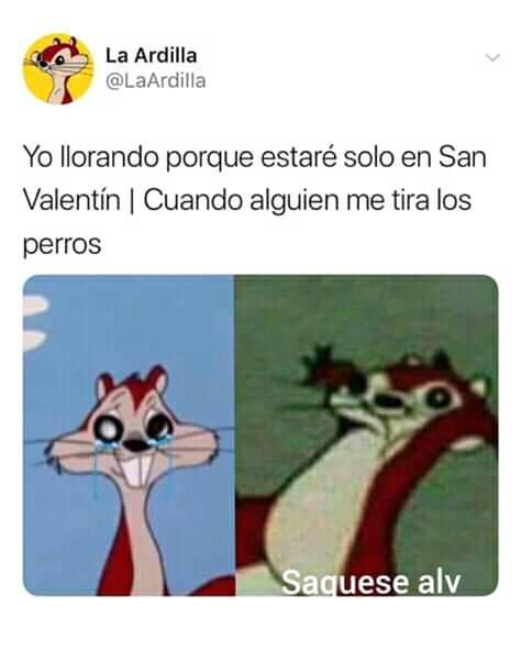 Memes 14 de febrero