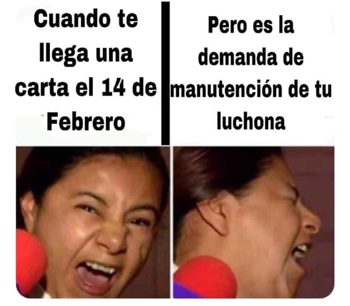 Memes 14 de febrero