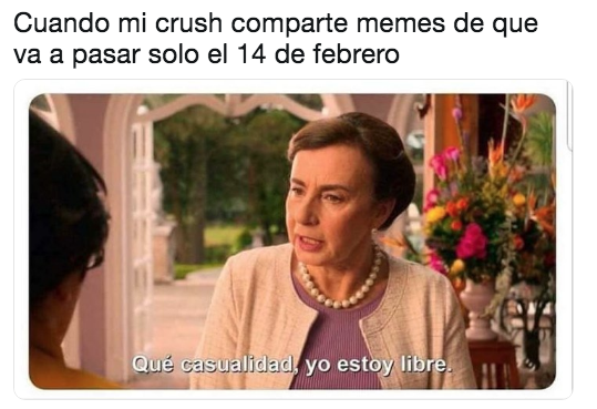 Memes 14 de febrero
