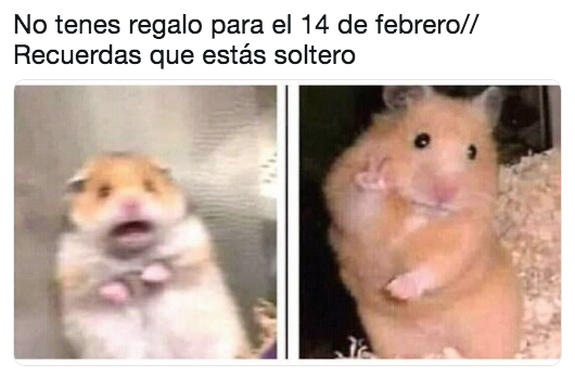 Memes 14 de febrero