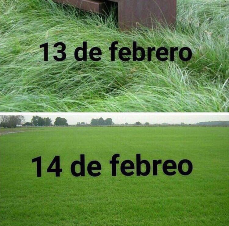 Memes 14 de febrero