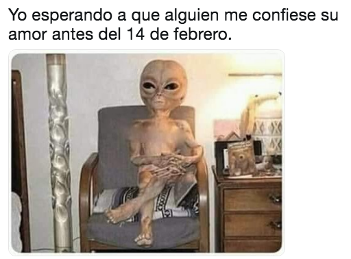 Memes 14 de febrero