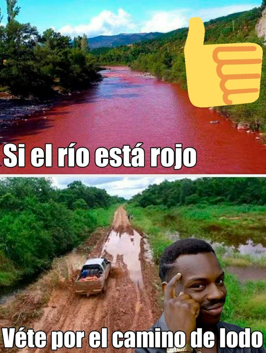 Memes 14 de febrero