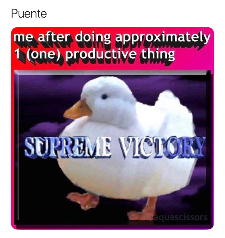 Memes del final del puente