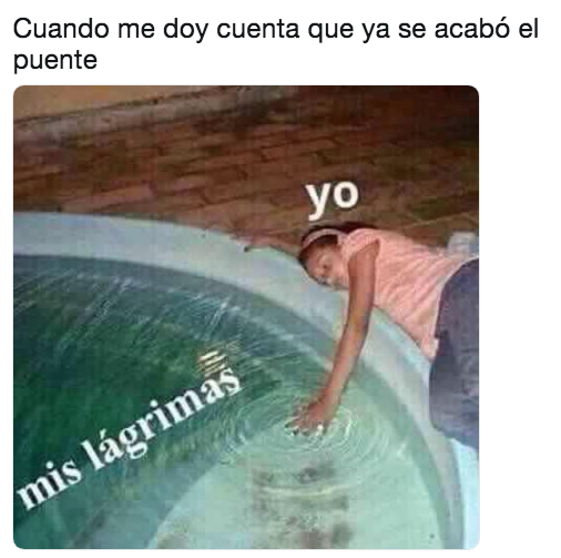 Memes por el fin del puente