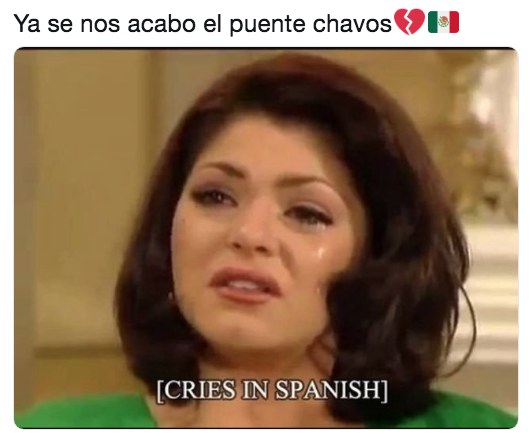 Memes por el fin del puente