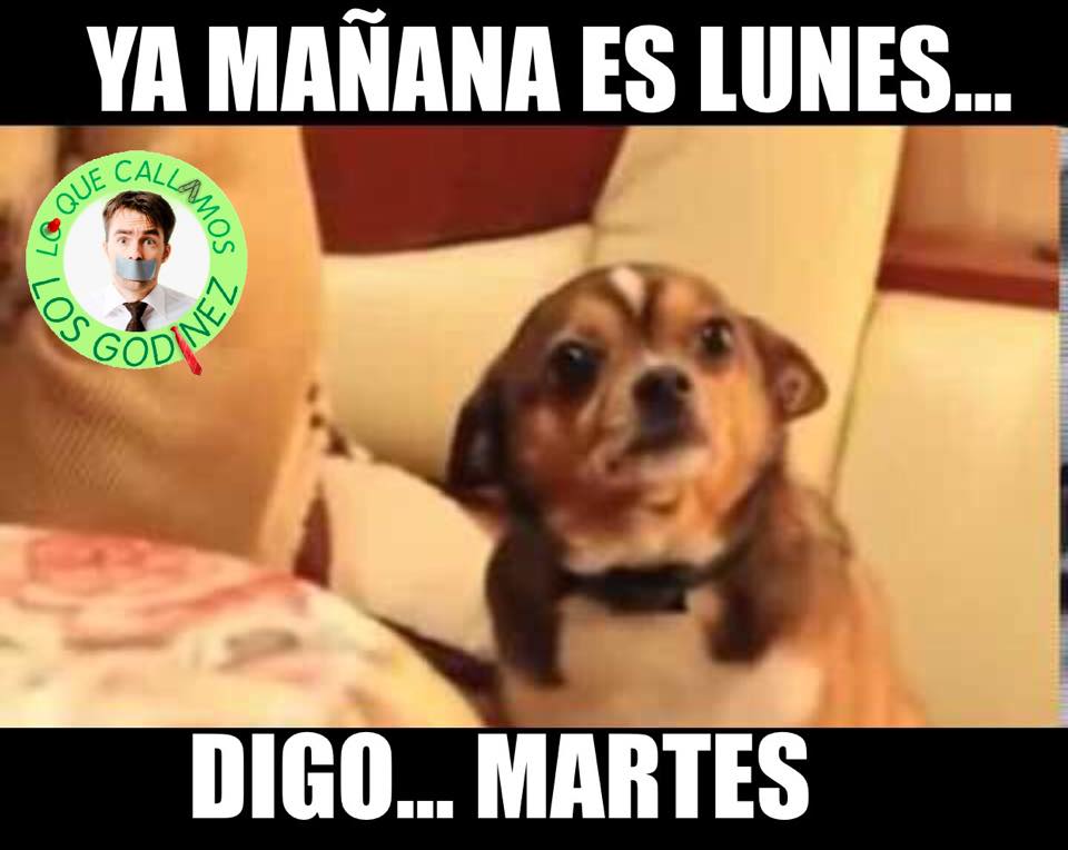 Memes por el fin del puente