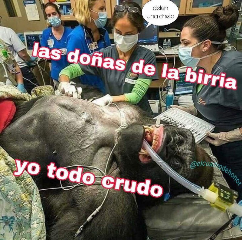 Memes del final del puente