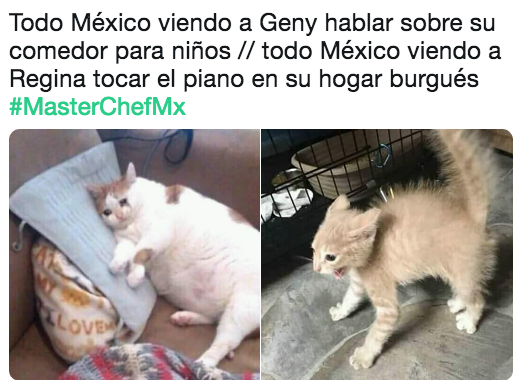 Memes de la final de Master Chef México