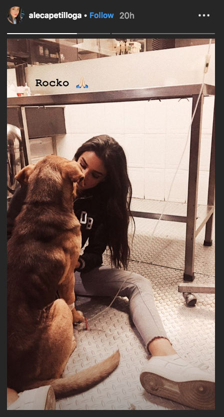 Hija de Eduardo Capetillo y Bibi Gaytán lamenta muerte de su perrito