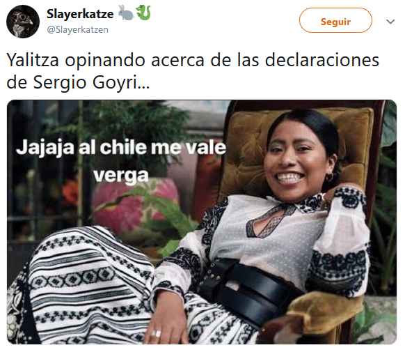 Mejores memes de Sergio Goyri y sus declaraciones racistas