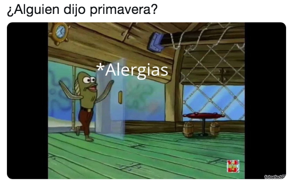 Mejores memes de primavera y Benito Juárez