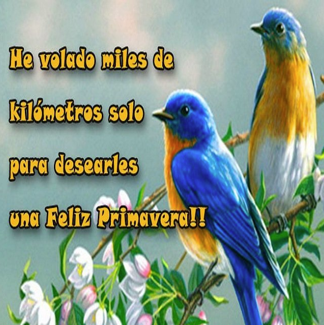 Mejores memes de primavera y Benito Juárez