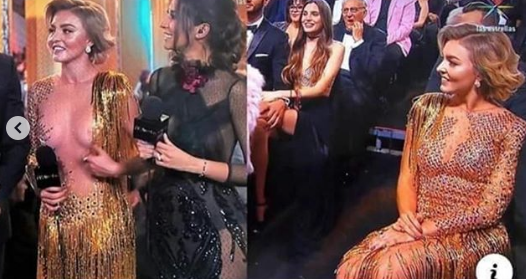Angelique Boyer usa vestido al revés