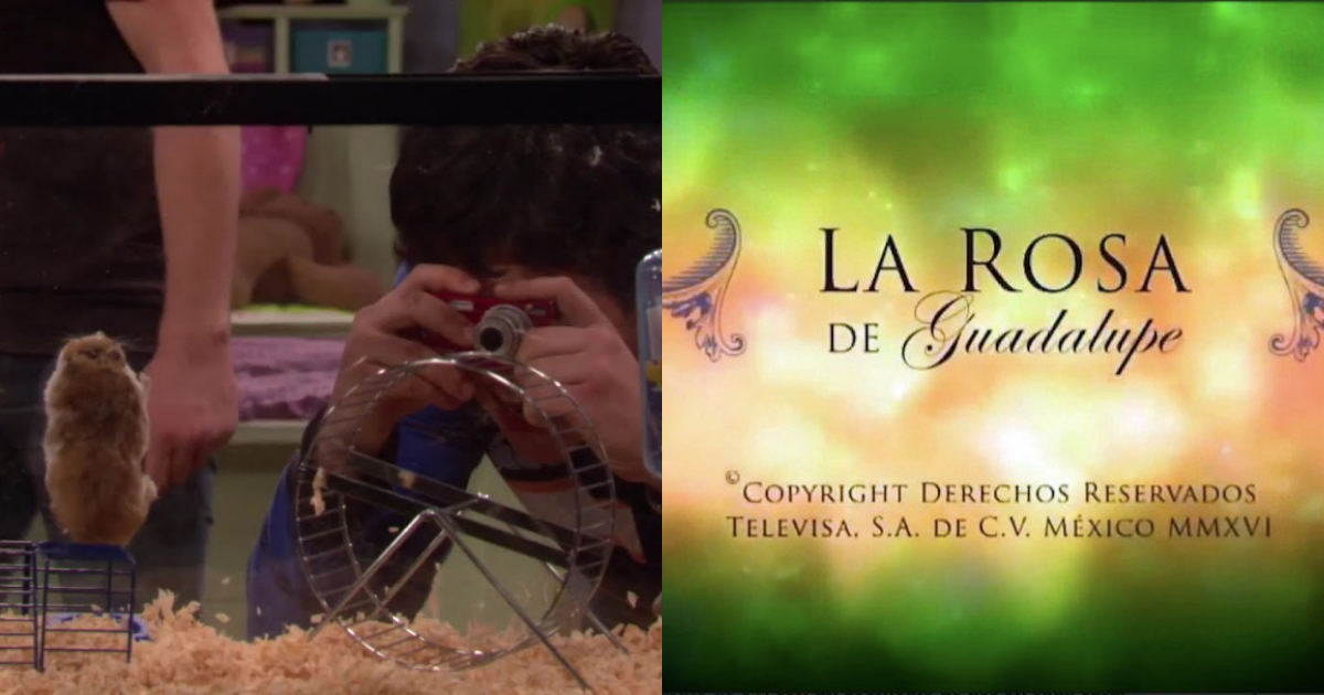 Escenas Con Música De La Rosa De Guadalupe, Música De La Rosa De Guadalupe, Meme Música La Rosa De Guadalupe, Escenas Rosa De Guadalupe, La Rosa De Guadalupe, Drake Y Josh La Rosa De Guadalupe