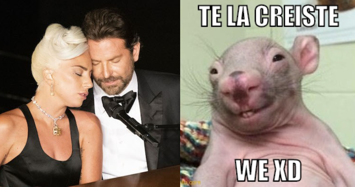 Lady Gaga desmiente romance con Bradley Cooper