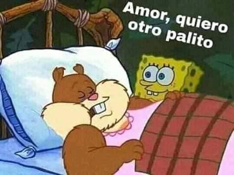 Memes de Arenita dormida