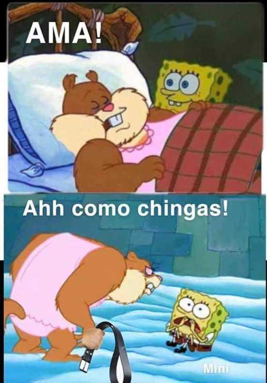 Memes de Arenita dormida