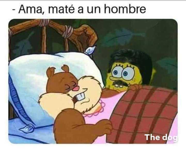 Memes de Arenita dormida