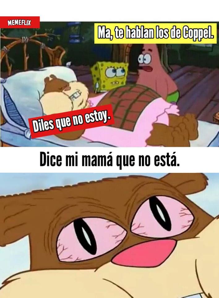 Memes de Arenita dormida