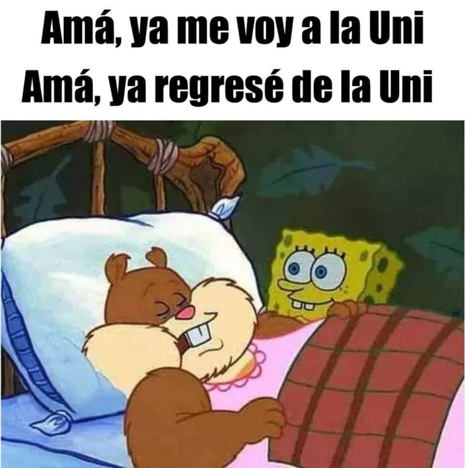 Memes de Arenita dormida