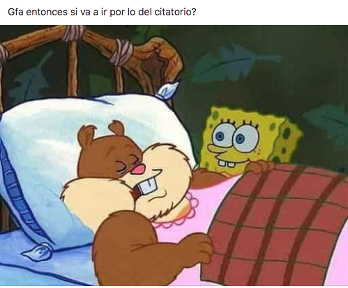 Memes de Arenita dormida
