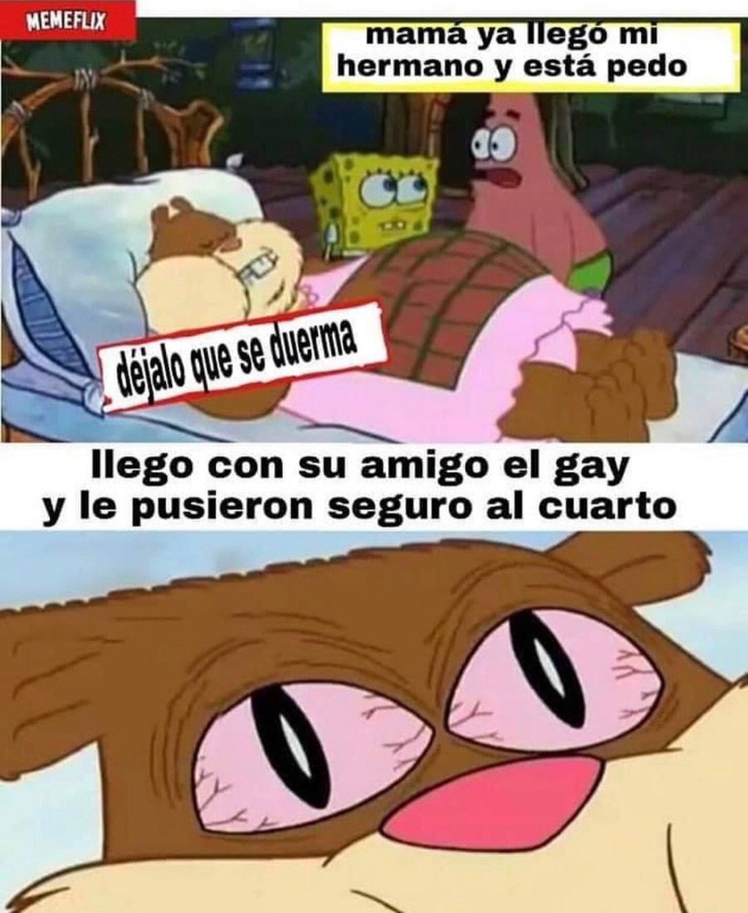 Memes de Arenita dormida