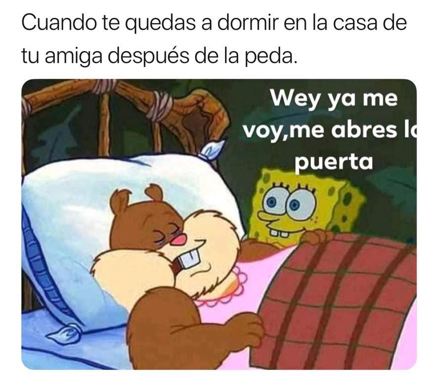 Memes de Arenita dormida
