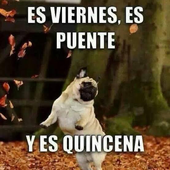 Memes del puente de Benito Juárez