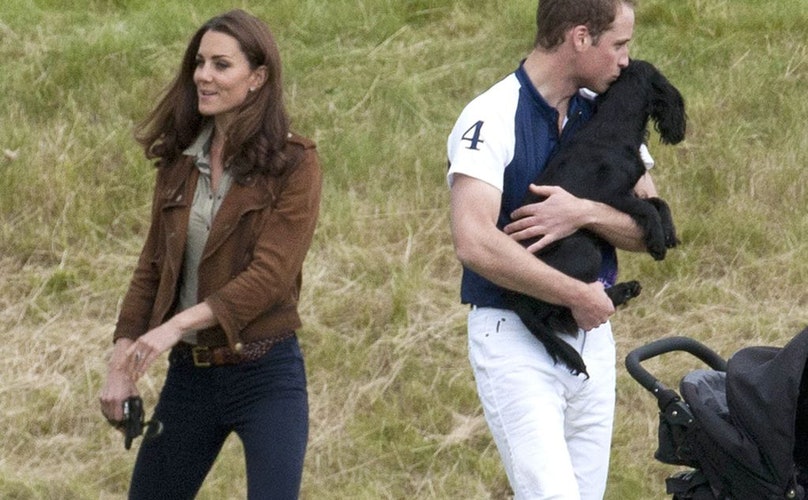 Duques de Cambridge tienen un perrito cocker spaniel