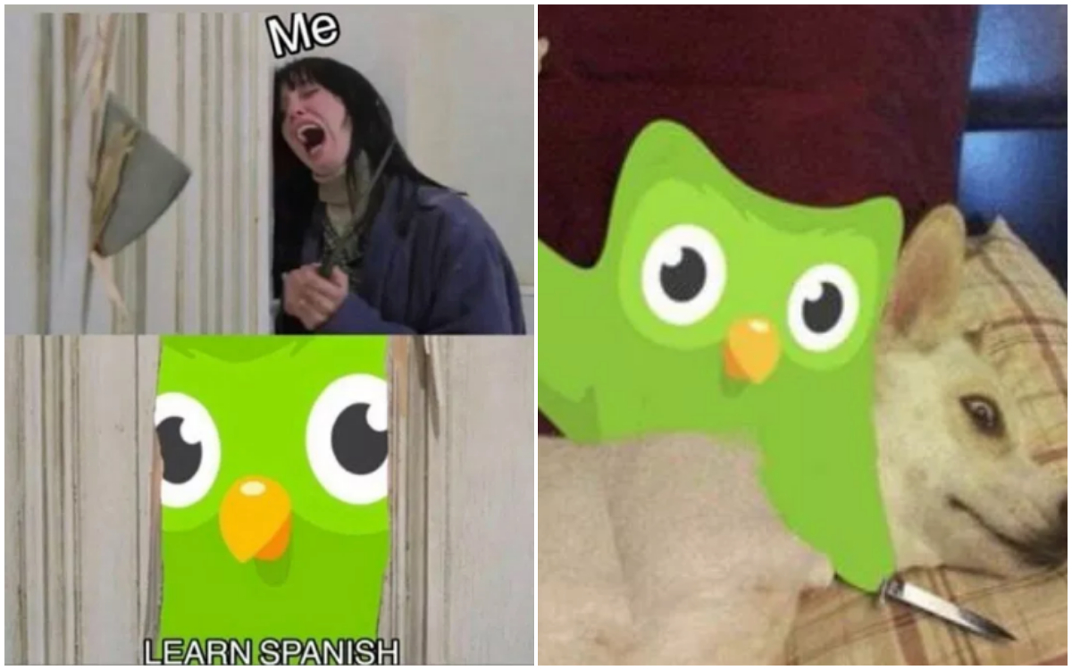 Los memes de Duolingo que te obligarán a aprender
