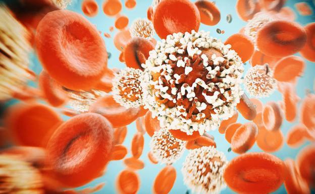 Trasplantes fecales, la clave para curar el cáncer: ciencia