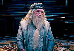 Organizan quema de libros de Harry Potter en Polonia