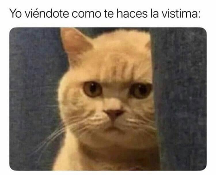 Memes de señora víctima