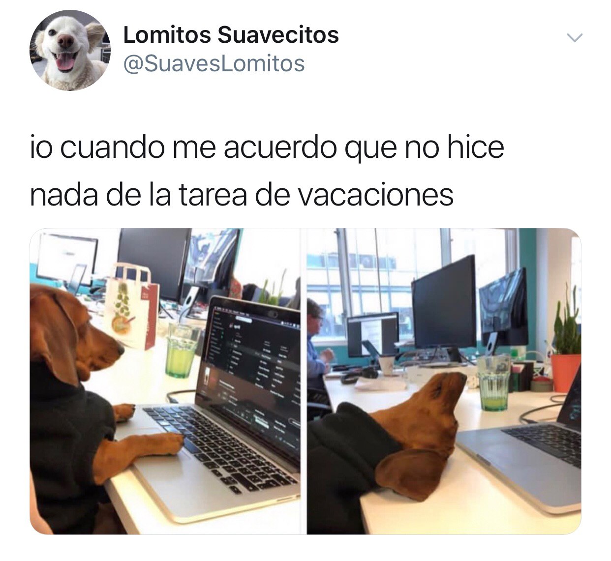 Memes del fin de las vacaciones de semana santa