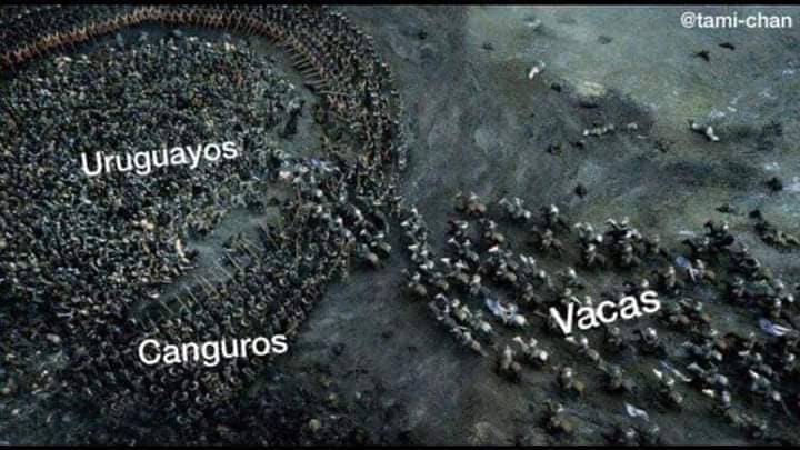 Memes de la guerra entre uruguayos y canguros