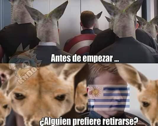 Memes de la guerra entre uruguayos y canguros