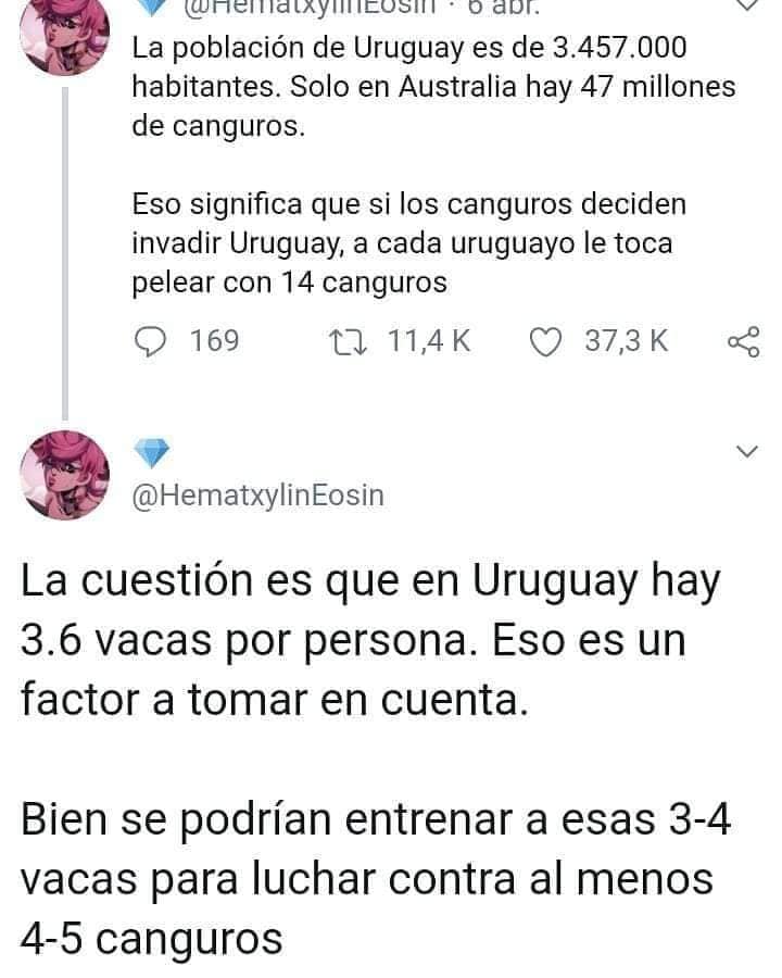 Memes de la guerra entre uruguayos y canguros
