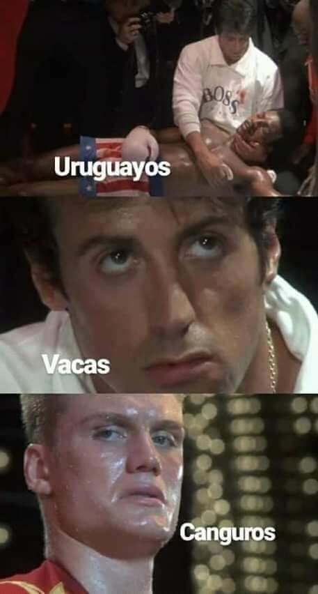 Memes de la guerra entre uruguayos y canguros