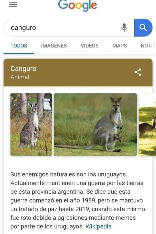 Memes de la guerra entre uruguayos y canguros