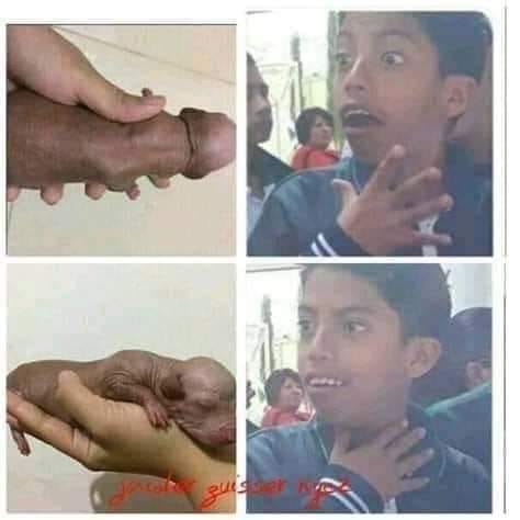 Memes del niño sorprendido y halagado