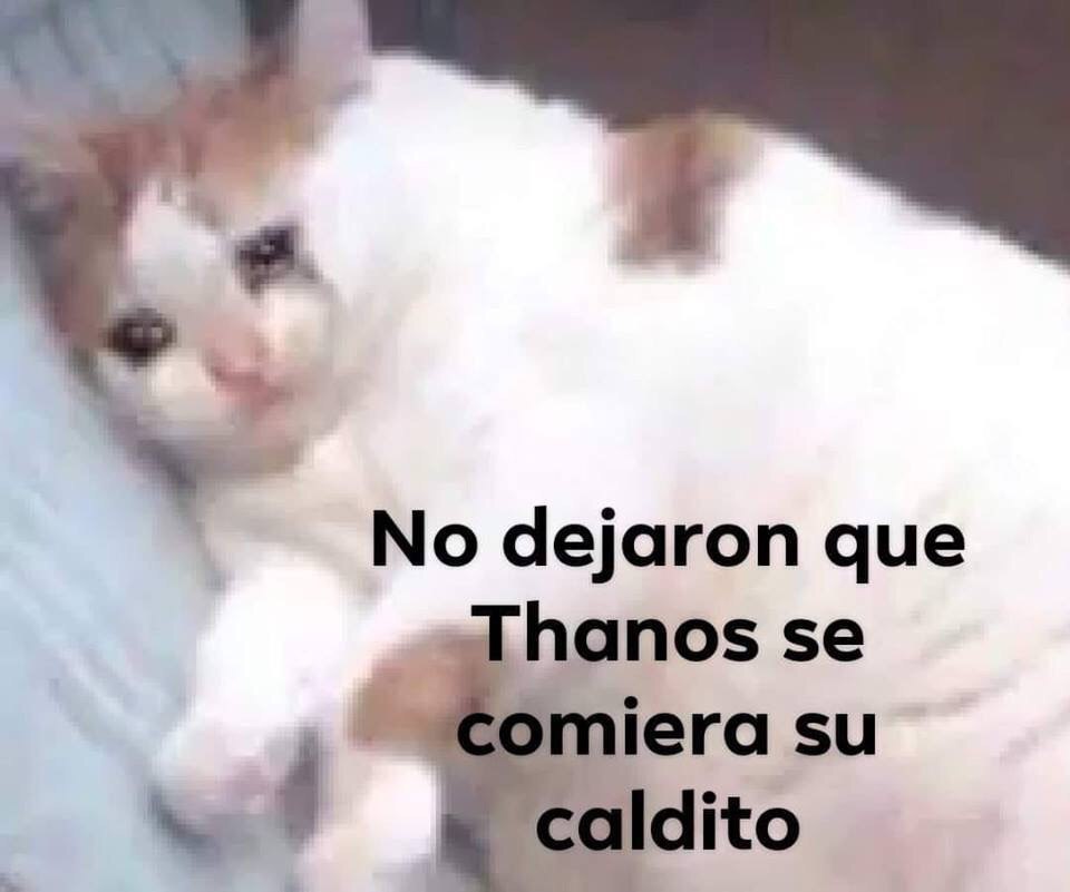 Memes con spoilers de Avengers Endgame