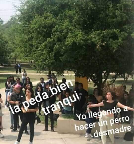Origen y memes de terrible bailemos