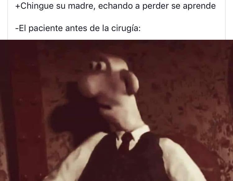 Memes de Wallace 