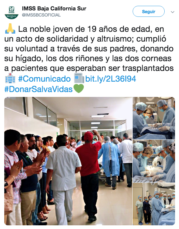 Modelo mexicana dona sus órganos tras morir