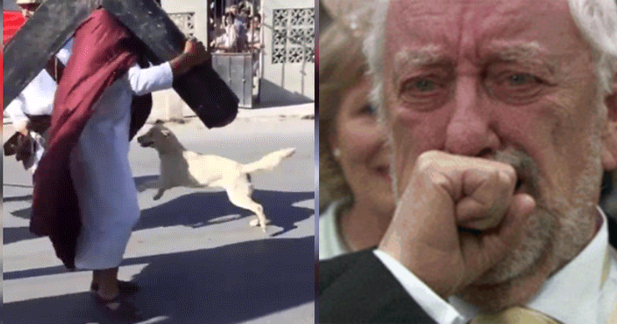 Perro Defiende Jesús En Viacrucis, Video, Perro Defiende Jesús, Viacrucis, Romanos, Vía Crucis