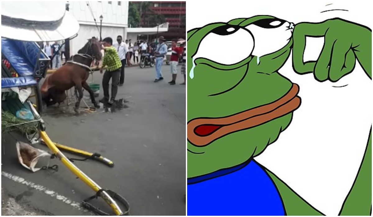 Foto Caballo Cae 6 Abril 2019