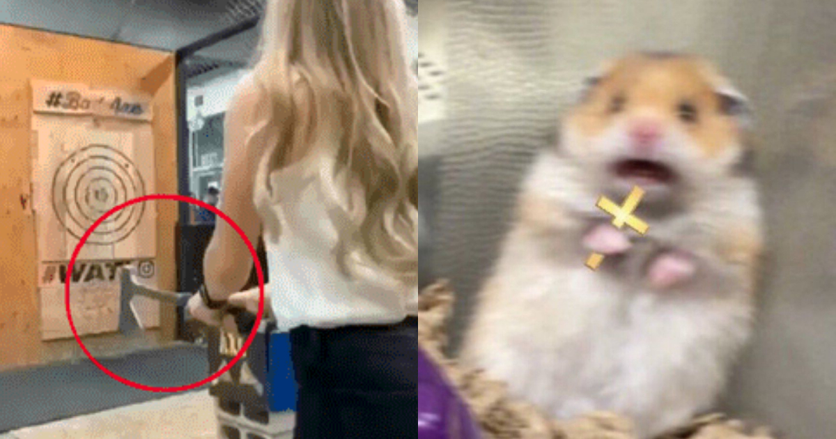 VIDEO: chica lanza hacha en tiro al blanco y le regresa