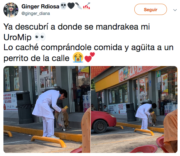 Elo Mito: recuento de videos y fotos de perros