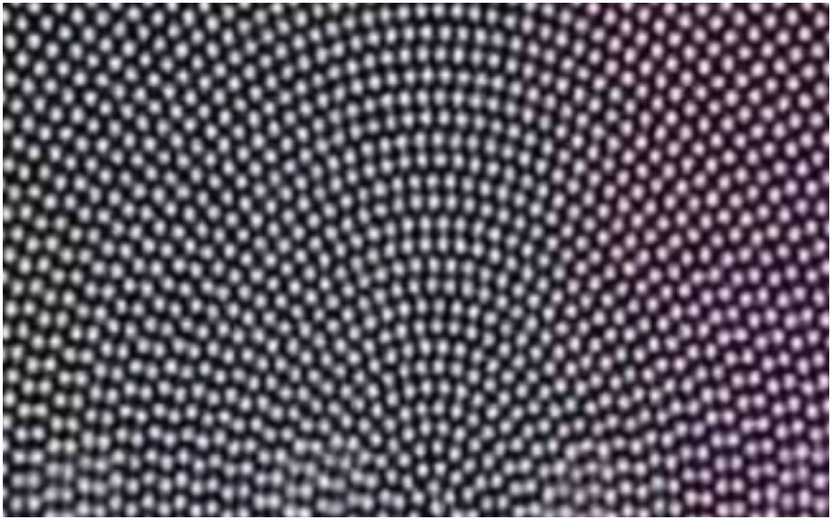 Esta ilusión óptica te dirá que problema visual tienes